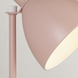 Lampe a poser, 1 lumiere, acier doux, rougir rose,EU700968