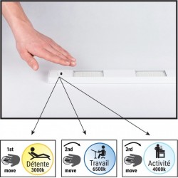 Réglette LED MAORI EXTENSION - Puissante, Économique et Durable Moderne